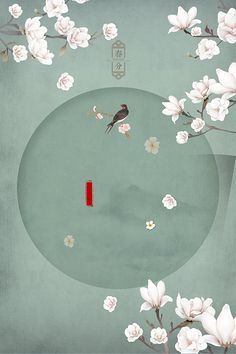 海角清远27岁的财务姐姐